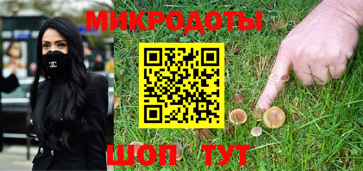 цена наркотик  Псилоцибиновые грибы Psilocybe  Вход с VPN  Люберцы 